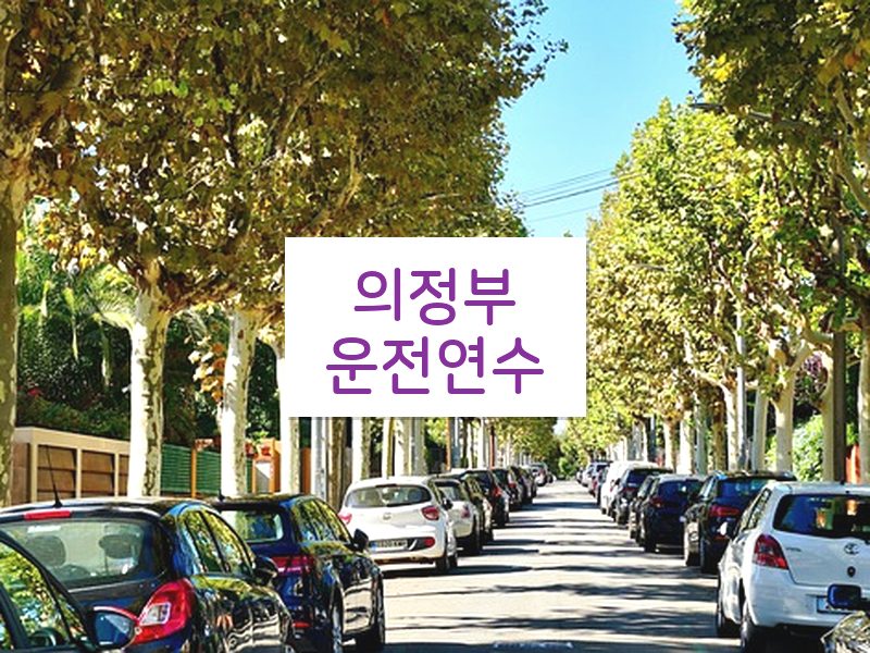 의정부운전연수 후기