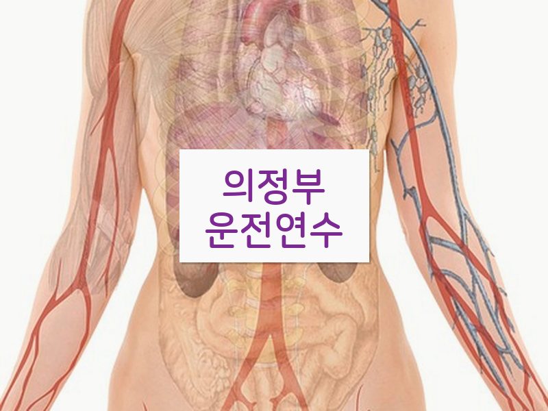 의정부운전연수 후기
