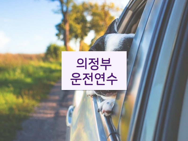 의정부운전연수 후기