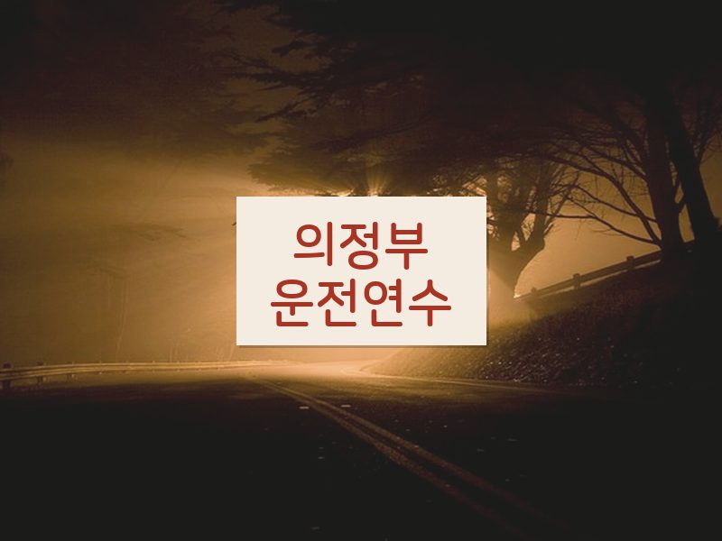 의정부운전연수 후기