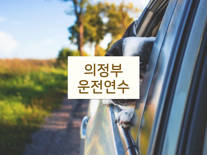 의정부운전연수 후기