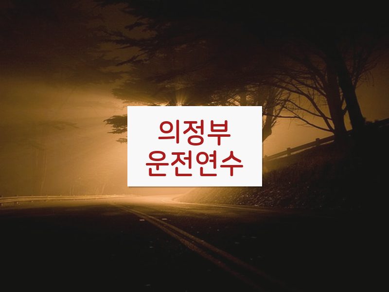 의정부운전연수 후기