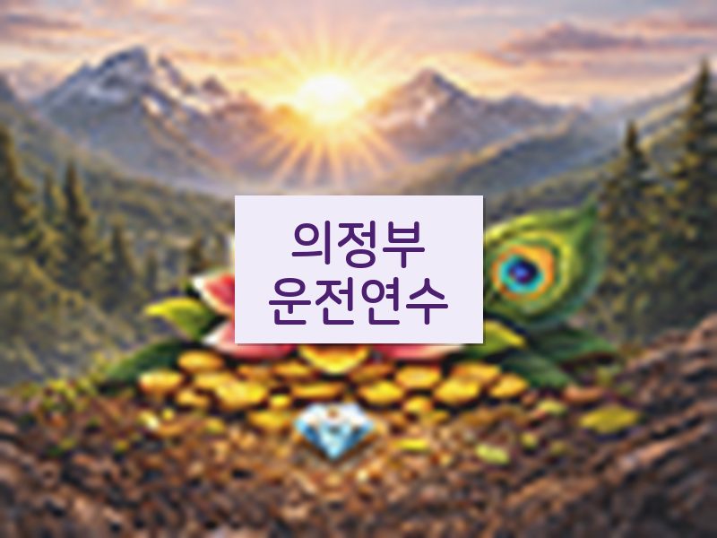 의정부운전연수 후기