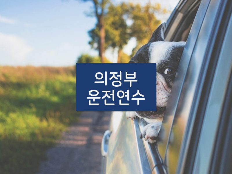 의정부운전연수 후기