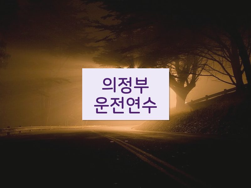 의정부운전연수 후기