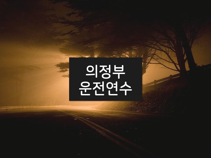 의정부운전연수 후기