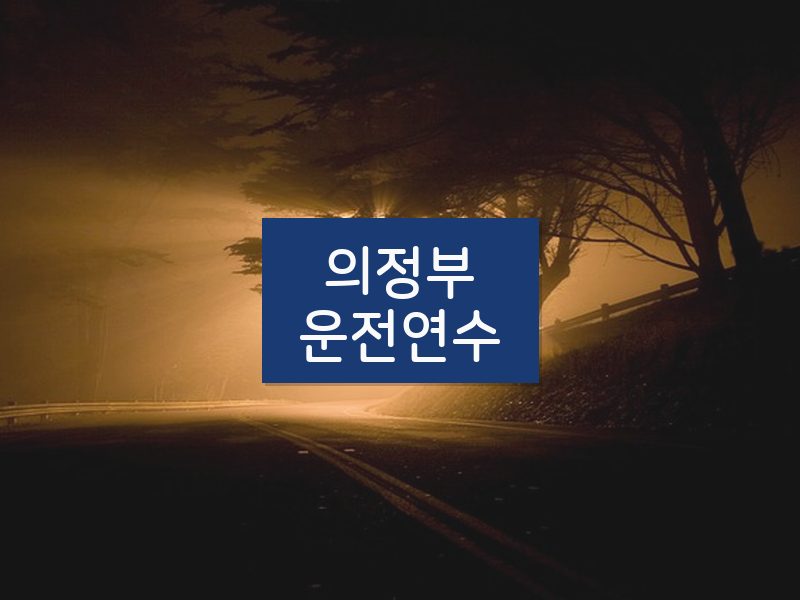 의정부운전연수 후기