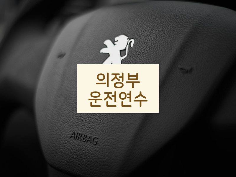 의정부운전연수 후기