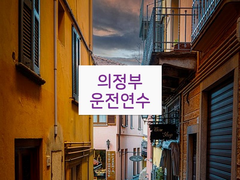 의정부운전연수 후기