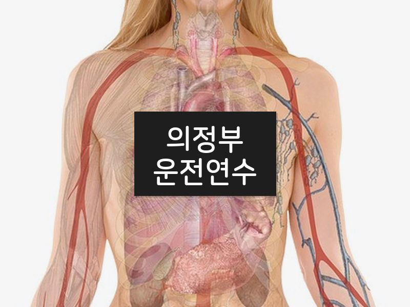 의정부운전연수 후기
