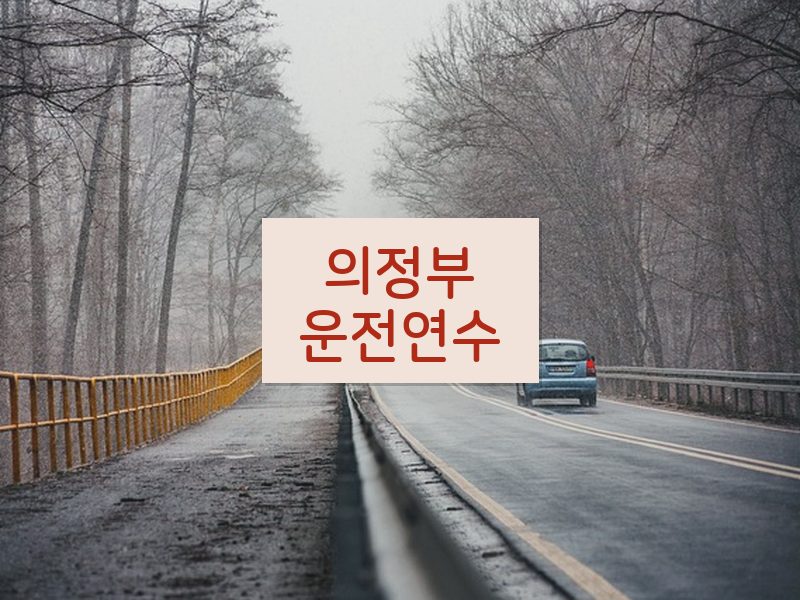 의정부운전연수 후기
