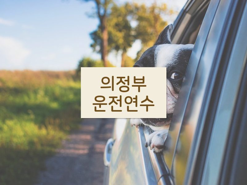 의정부운전연수 후기