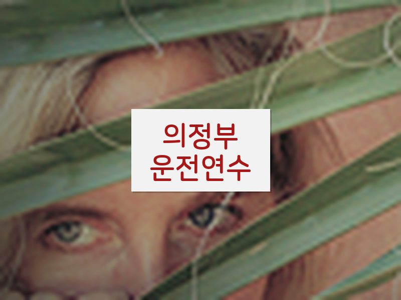 의정부운전연수 후기