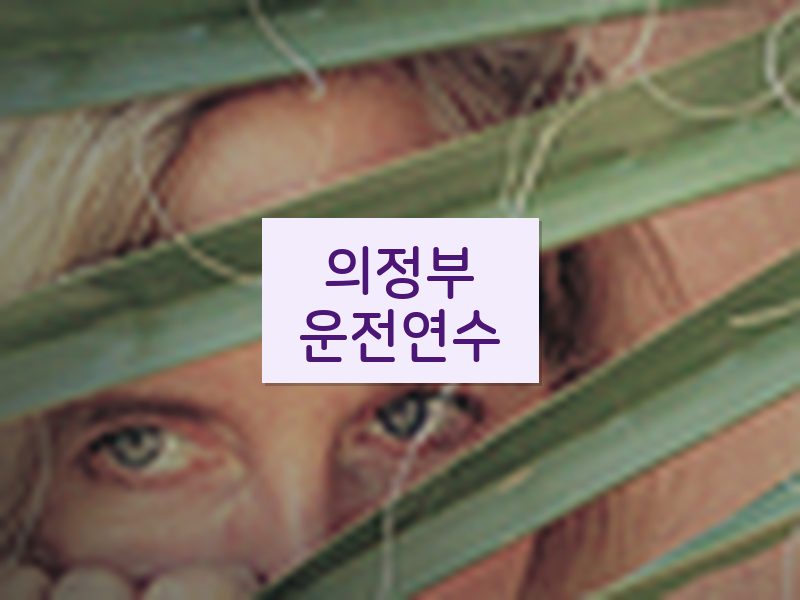 의정부운전연수 후기
