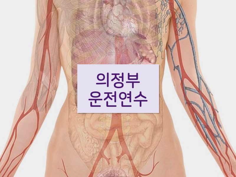 의정부운전연수 후기
