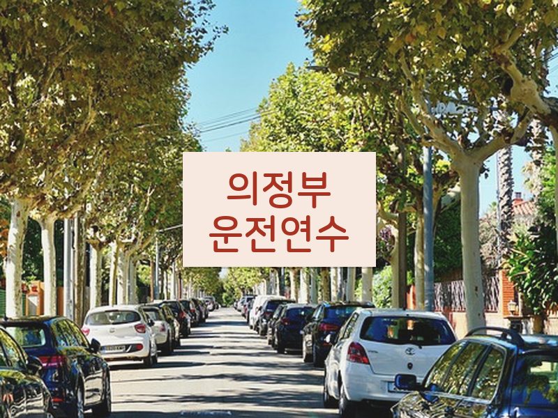 의정부운전연수 후기