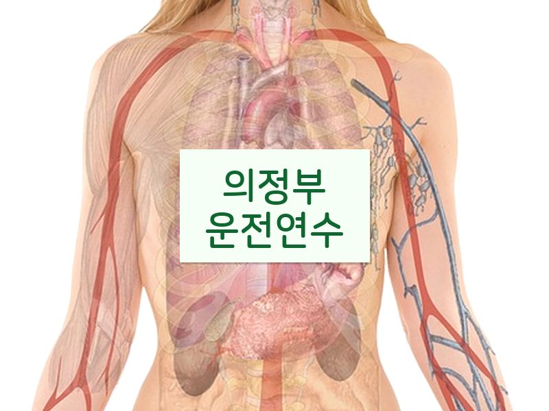 의정부운전연수 후기