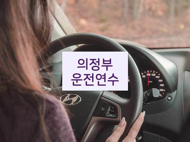 의정부운전연수 후기