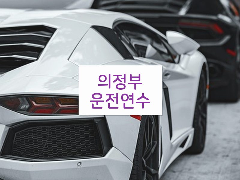 의정부운전연수 후기