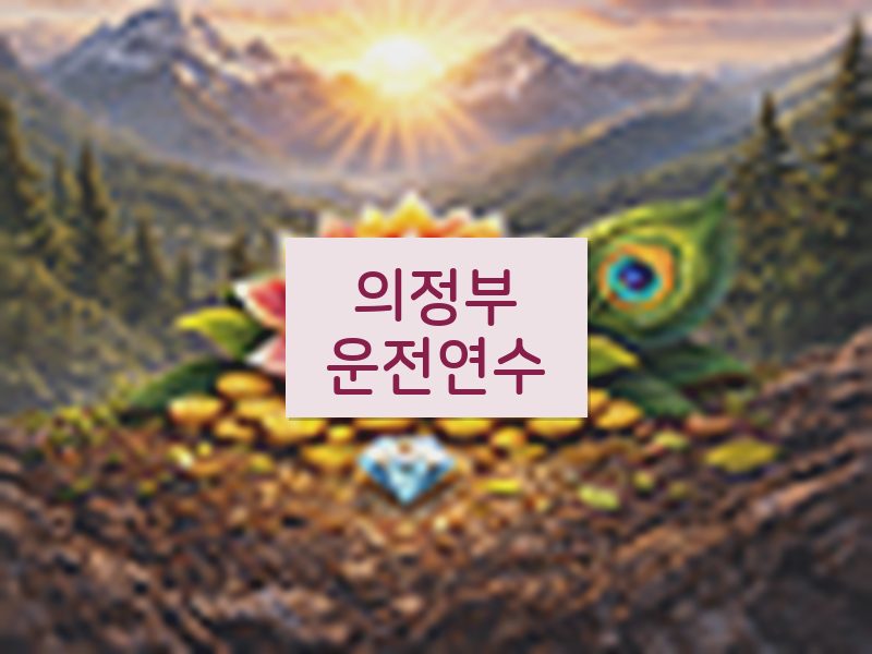 의정부운전연수 후기