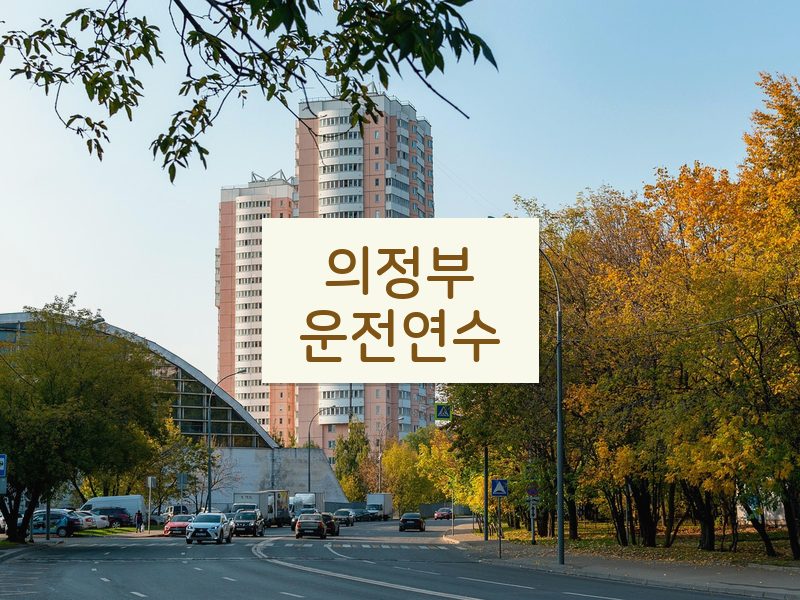 의정부운전연수 후기