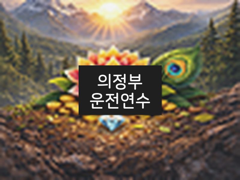 의정부운전연수 후기