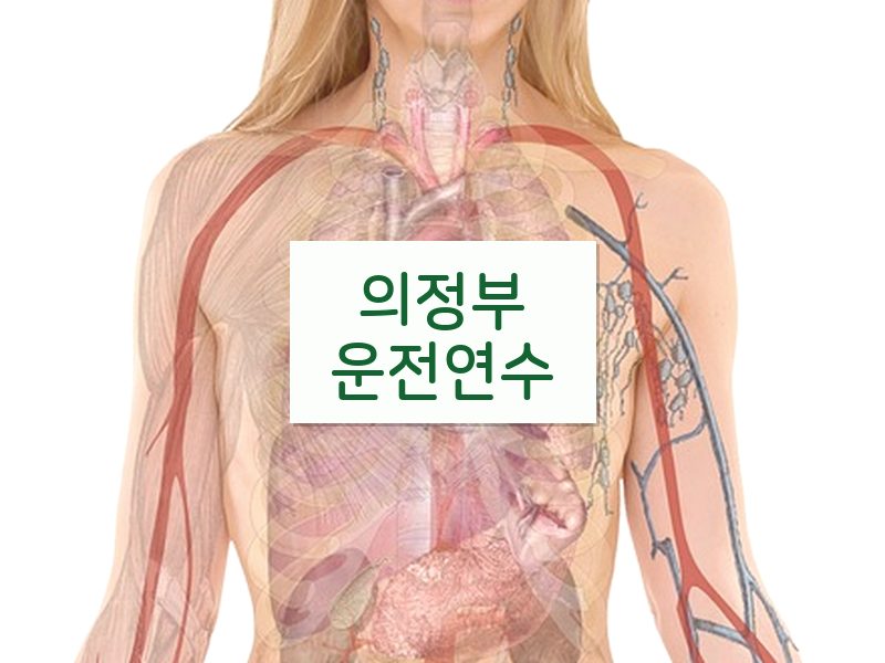 의정부운전연수 후기