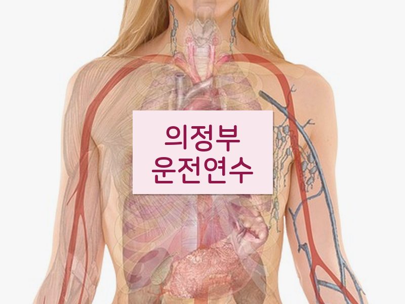 의정부운전연수 후기