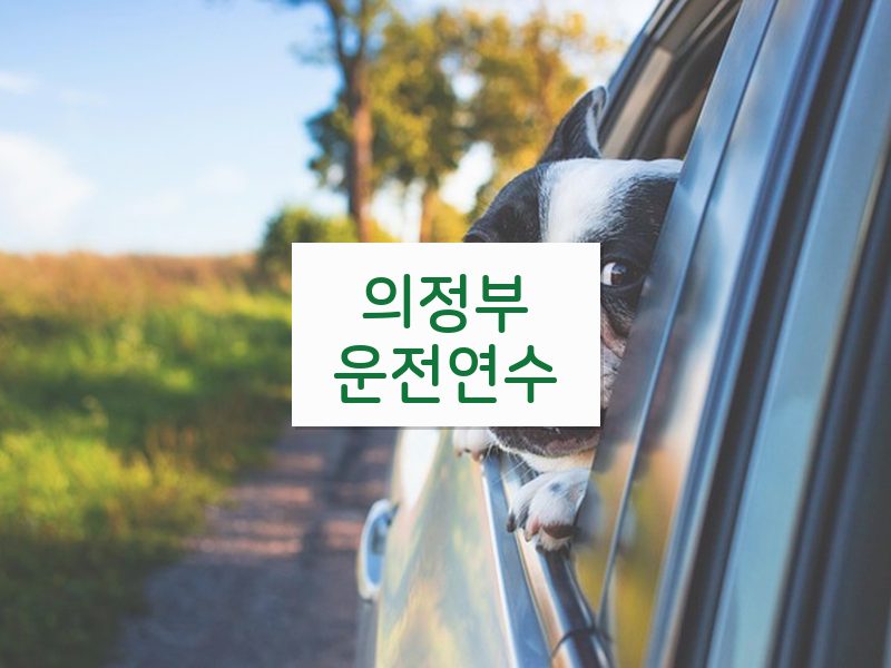 의정부운전연수 후기