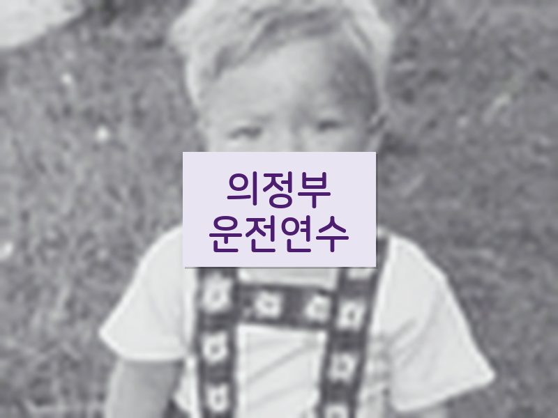 의정부운전연수 후기