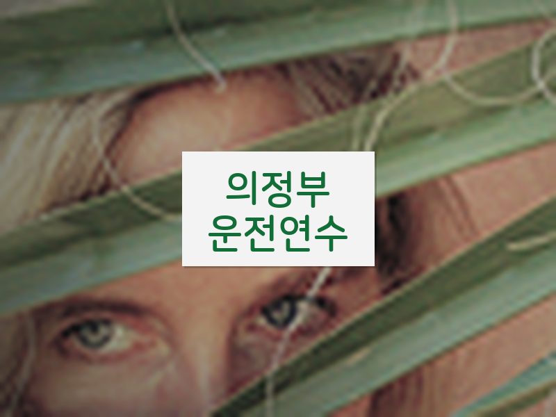 의정부운전연수 후기