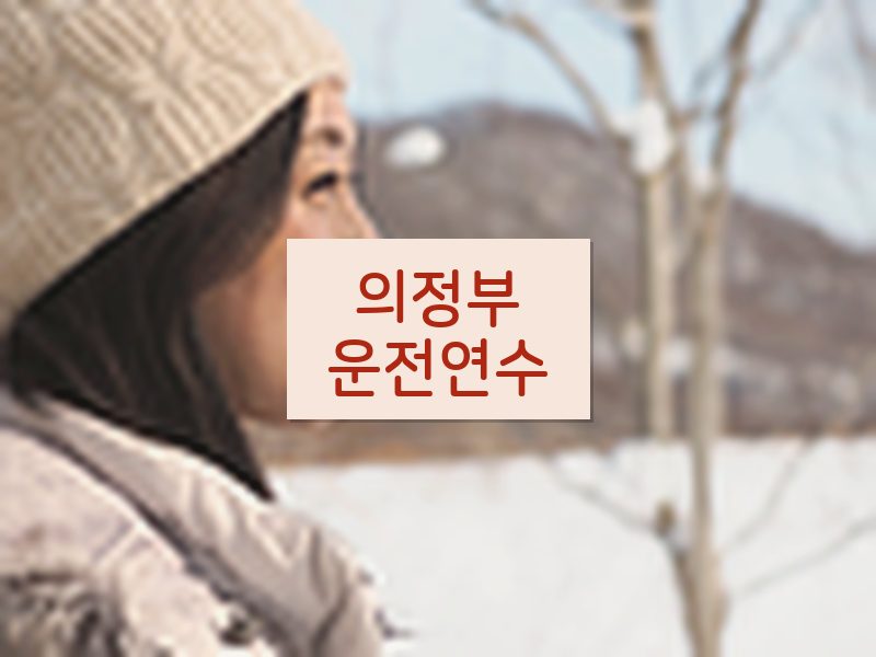 의정부운전연수 후기