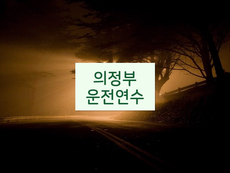 의정부운전연수 후기