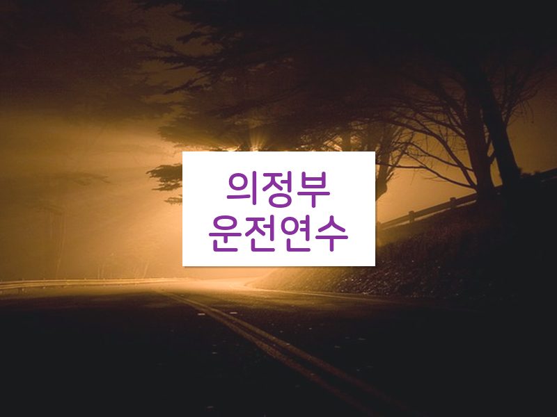 의정부운전연수 후기