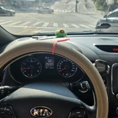 주말 산책에 드라이빙