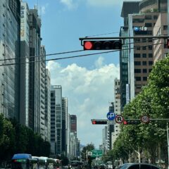 야간 운전 너무 무서웠어요