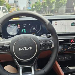 신호등 잘 보고 운전했어요