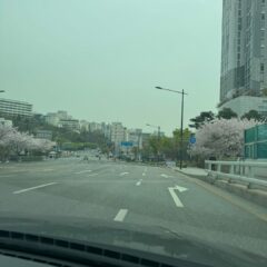 5일 속성 코스 완료! 후기 이미지