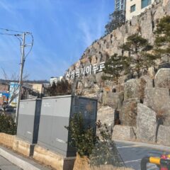 인생이 편해졌어요