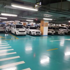 부모님 모시고 드라이브