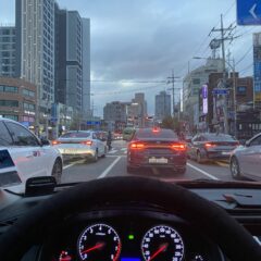 초보 운전 도전 성공!