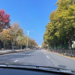 아이들 학원 길이 완전 편해요