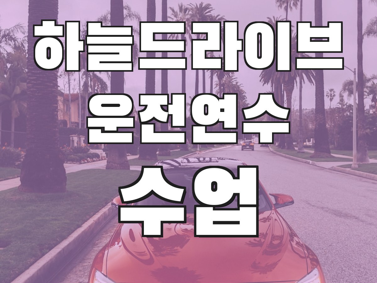 하늘드라이브 운전연수 수업 - 맞춤 연수 프로그램