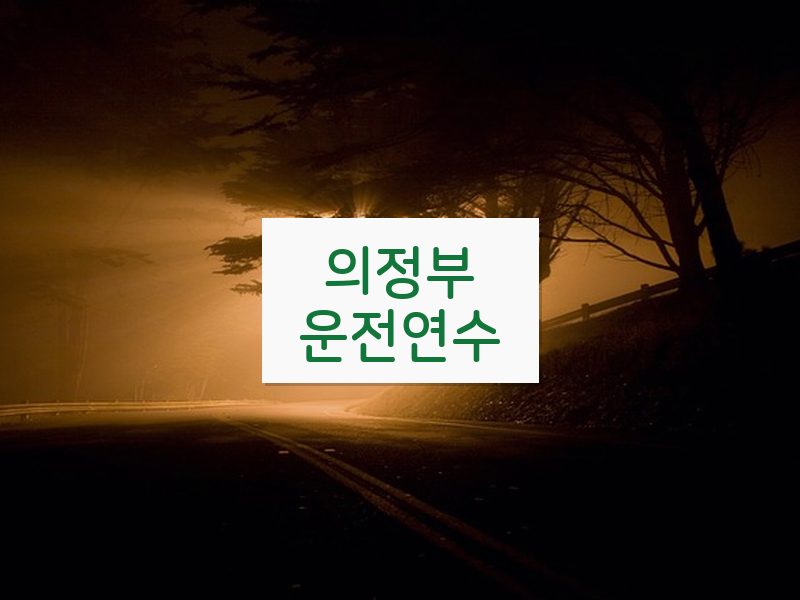 의정부운전연수 후기