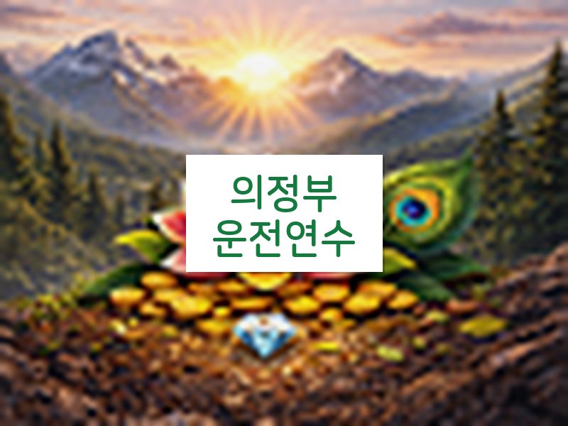 의정부운전연수 후기